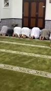 گوربااااا بامزه ..............