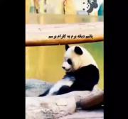 خیلی حقههههه..................