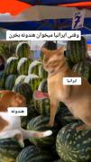 دقیقا همینهه 😂😂 ............