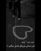 شد شد نشد باز صدای موزیکو بلند تر میکنم :