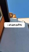 وَ زِندِگی مَن بِدُونِه طُ...🖤🕳