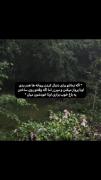 اگه زمانتو برای دنبال کردن پروانه ها