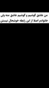 گوشی. دوست داشتن. خانواده. سخت گیر. 
