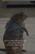 برای همه فکر کنم پیش آمده باشه 😂🥲