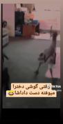 برای من پیش نیامده برای شما چی 😂🤭