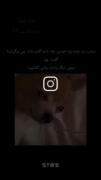 بیا باهم بگردیم 😂🤦‍♀️😂‌‌‌‌‌‌‌‌