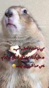 شما هم یا من تنها هستم 🫣😂😂‌‌‌‌