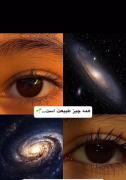 همه چیز طبیعت هست ✨️💕‌‌‌‌‌‌‌‌‌‌