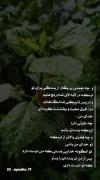 و چه فخری بالا تر از بندگی برای تو 