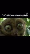 وقتی مامانا "نه" نمی‌گویند: میم طنز واکنش‌های مادرانه