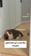 ـــــــــ😍🥹کـیـوت 😍🥹ــــــــ