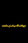 حیوانات اگه موی انسان هارو داشتن اینجوری بودن...😂🤩