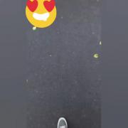 چقد این گل ها خوشگلنننننن 💋😘😍ممنونمممم عشقم💋