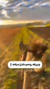 برای سوار کاران ..............