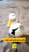 وقتی یه روز بازارت عالی هست --