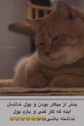 خیلی بده.....!🚶‍♂️‌‌‌‌‌‌‌‌‌‌‌‌‌‌