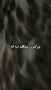 وقتی که فکرمیکنی طرف تو باغ نیس ولی خودش صاحب باغ