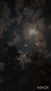 ماه امروز قشنگ بود ولی تو همیشه قشنگی ماه من🥺❤️🌒🌙