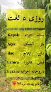 اینا رو یاد بگیر دنبال کردن یادت نره