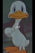  واکنش قطر به حمله ایران😩😩😩😩😩😩