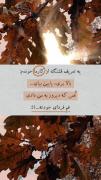 چه تعریف قشنگی از کارما بود 😶🎀