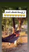‌▷ ●━━━━━━─ㅤ      ◁ㅤ❚❚ㅤ▷ㅤ↻     😂😂😂›› .﹥