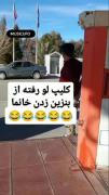 ●━━━━━━─ㅤ      ◁ㅤ❚❚ㅤ▷ㅤ↻    😂😂😂›› 