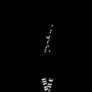 مکنه لاین بی تی اس🛐✨🛐✨🛐✨🛐✨