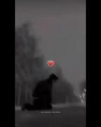 وضعیت هممون (:................