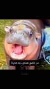 نیازمند‌یکی‌از‌این‌کیوتاااا😭🎀(ترجیحا گربه>>)