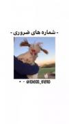 ویدیو بسیار کاربردی 🌱🌷🎀