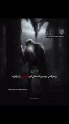 حدیثی گرانبها از امیرالمومنین علی (ع)