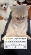 دخترا مگه درست نیس؟ جدی جدی راست بگین