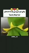 وقتی میگن واسه امتحان چیکار کردی😶