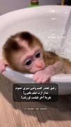 رفیق فیلمت لو رفته بیا جمش‌کن🤣😂 بفرس واسه رفیقت