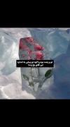 Pov:تو به اندازه این گل ها خوشگلی!