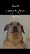 اگه لر و بختیاری ها درک کنن می فهمن چیه😂😂😂