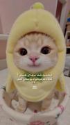 ببخشید شما سعدی هستین؟اخه دلم می‌خواد بوستان کنم😂🤍