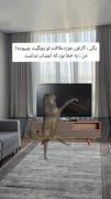 حقققتا ابددددد😂😂😂 چقدر این ویدو حقه اخه