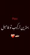 سینا داداشمی عشق داداش با کفتراش🕊️🕊️🫂🥺🐾🐾
