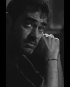 یـه حـس بـی حسـی نسبـت بـه هـر حسـی/