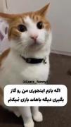 این گوگولی رو ببینید خیلی کیوت
