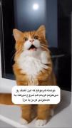 کیوت ترین فیلمی که امروز میبینی