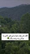 راه حل بامزه برای قهر کردن: به جای قهر، درخت بکاریم!