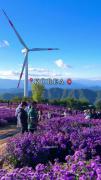 سفر به طبیعت زیبای کره جنوبی