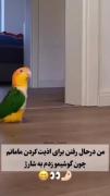 این قسمت:گوشیمو زدم شارز و راهی به طرف مامانم که اذیتش کنم