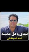 نیدی و دل غمینه....... ❤️‍🩹🖤 
