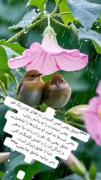 آسـمان تاریکـُ و شب تاریـکـُ و من تاریکِـتاریکَـم