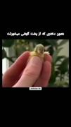 قبول دارین ؟؟؟؟؟؟؟؟؟؟؟؟؟؟؟؟؟؟؟