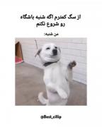 . . .